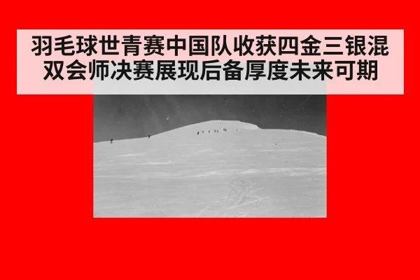 羽毛球世青赛中国队收获四金三银混双会师决赛展现后备厚度未来可期