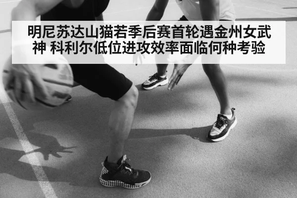 明尼苏达山猫若季后赛首轮遇金州女武神 科利尔低位进攻效率面临何种考验